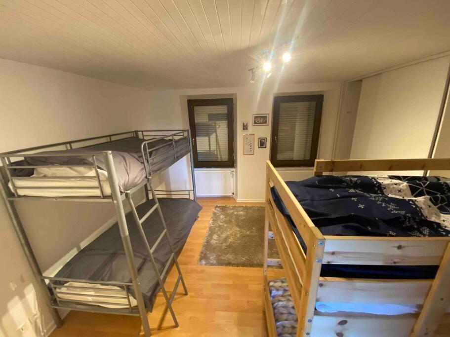 Appartement Emile Galle. Goetzenbruck Kültér fotó